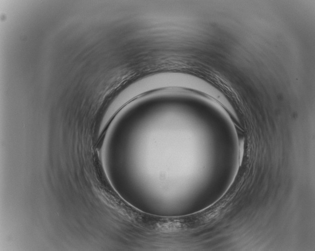 X0000086930362200704231336