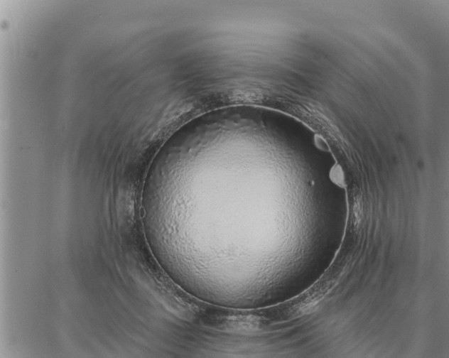 X0000086930363200704231336