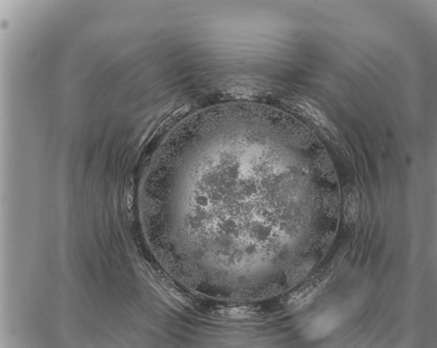 X0000086930365200704231336