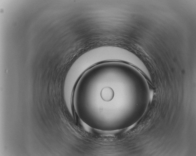 X0000086930368200704231336