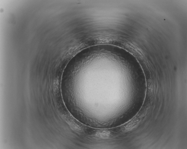 X0000086930369200704231336