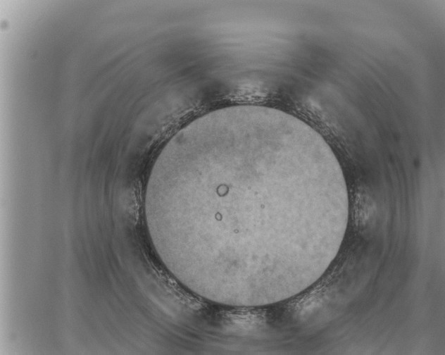 X0000086930370200704231336