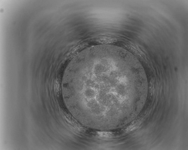 X0000086930371200704231336