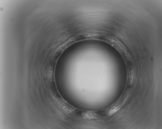 X0000086930372200704231336