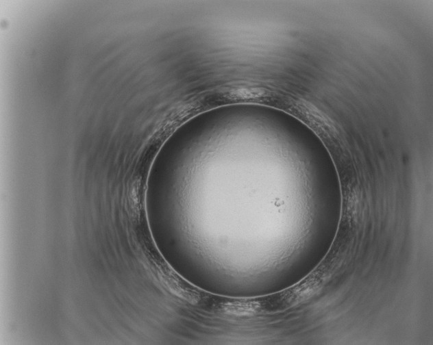 X0000086930373200704231336