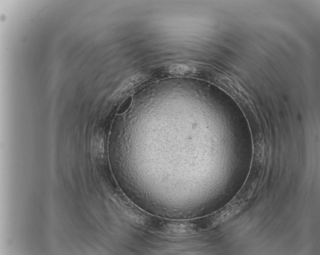 X0000086930375200704231336