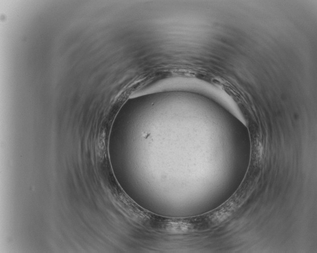 X0000086930376200704231336