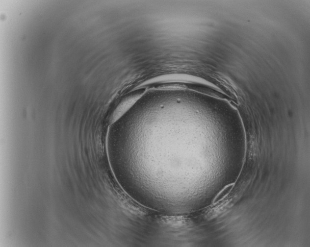 X0000086930377200704231336