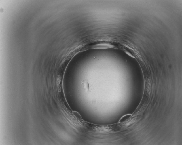 X0000086930378200704231336