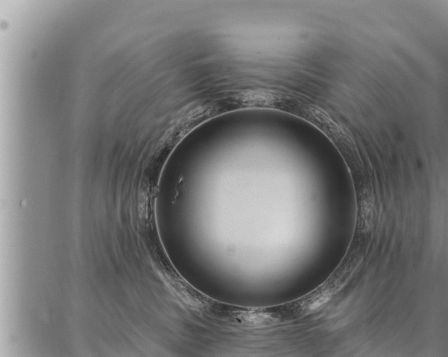 X0000086930379200704231336