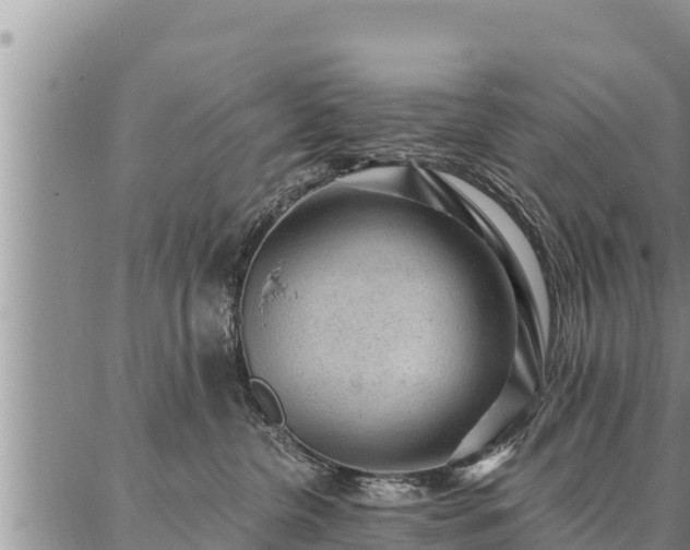 X0000086930380200704231336