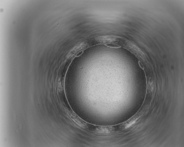 X0000086930381200704231336