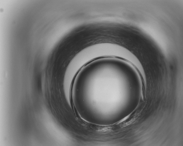 X0000086930382200704231336