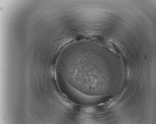 X0000086930383200704231336