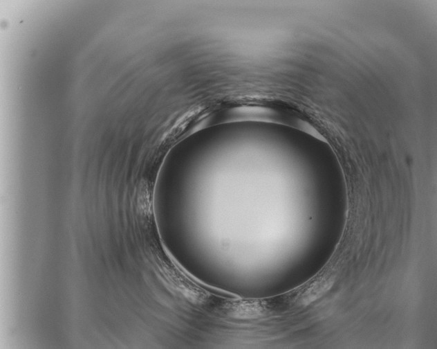 X0000086930384200704231336