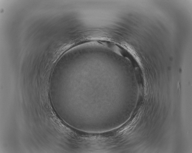 X0000086930385200704231336