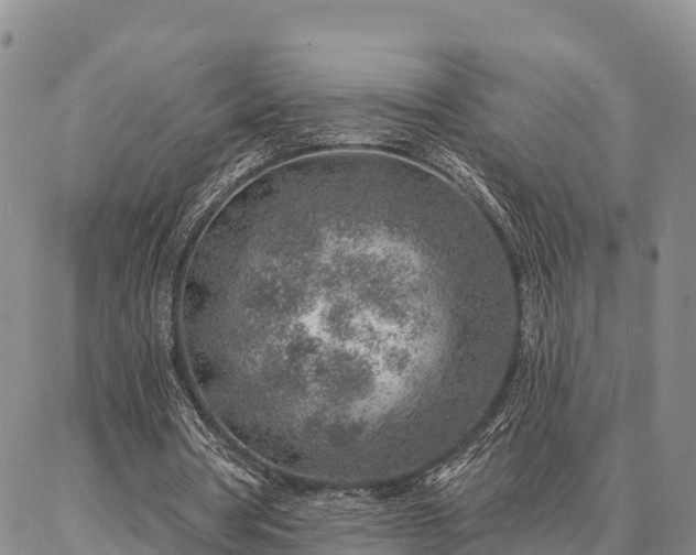 X0000086930386200704231336