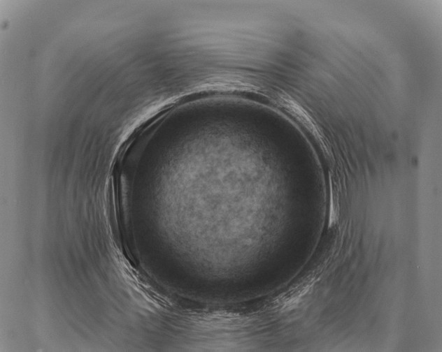 X0000086930387200704231336