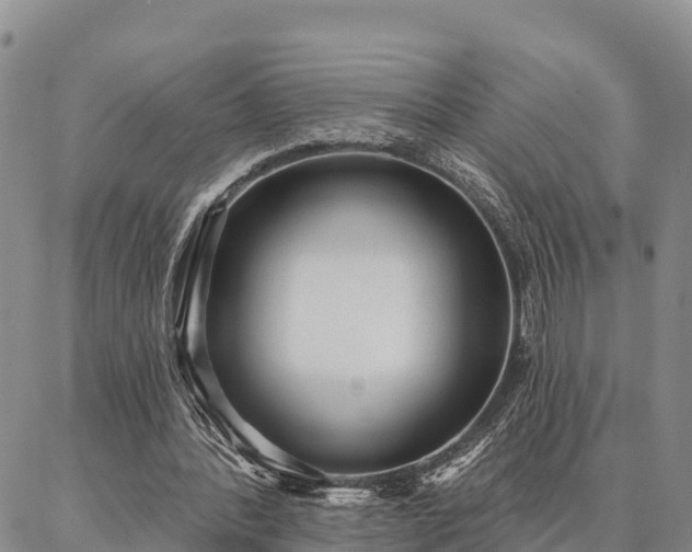 X0000086930388200704231336