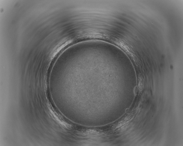 X0000086930390200704231336