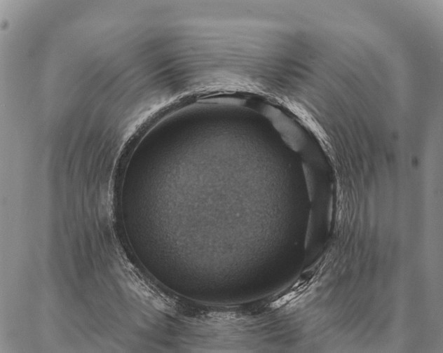 X0000086930391200704231336