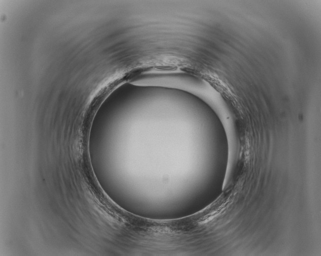 X0000086930392200704231336