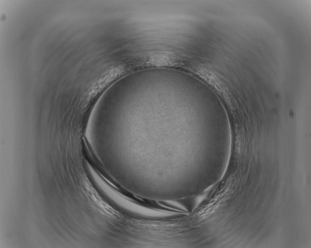 X0000086930393200704231336