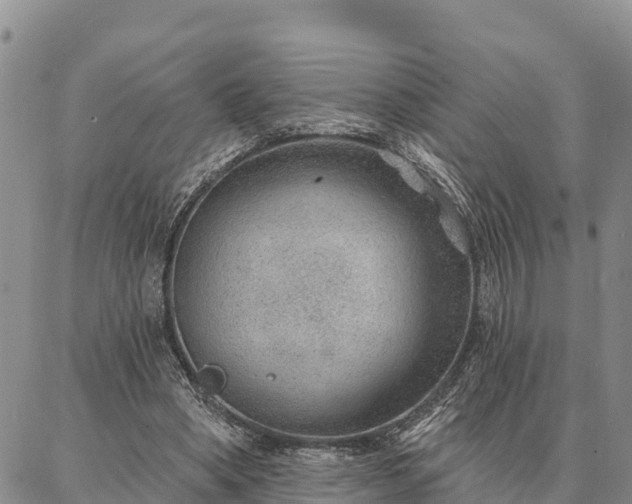 X0000086930394200704231335