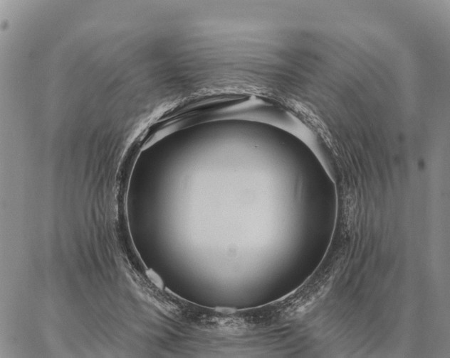 X0000086930395200704231335