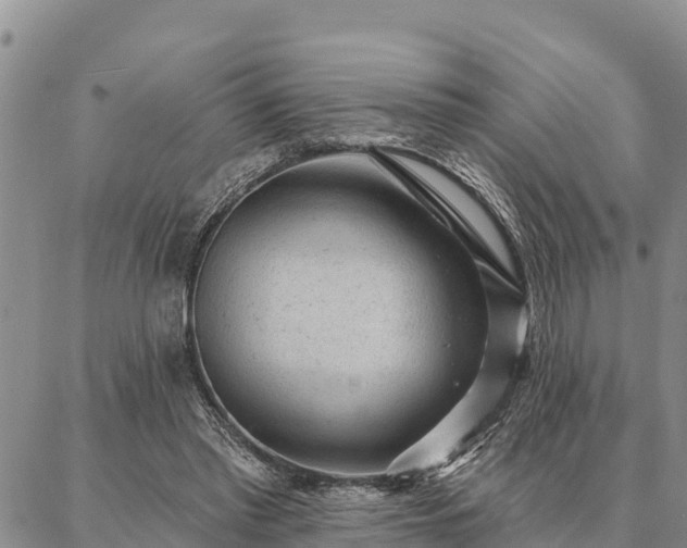 X0000086930397200704231335