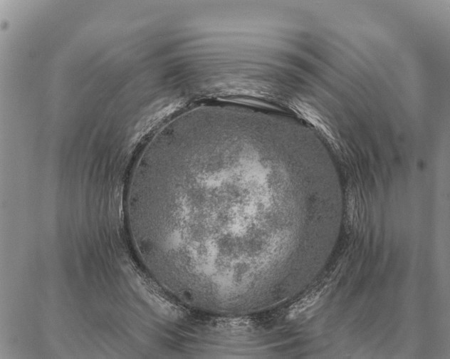 X0000086930398200704231335