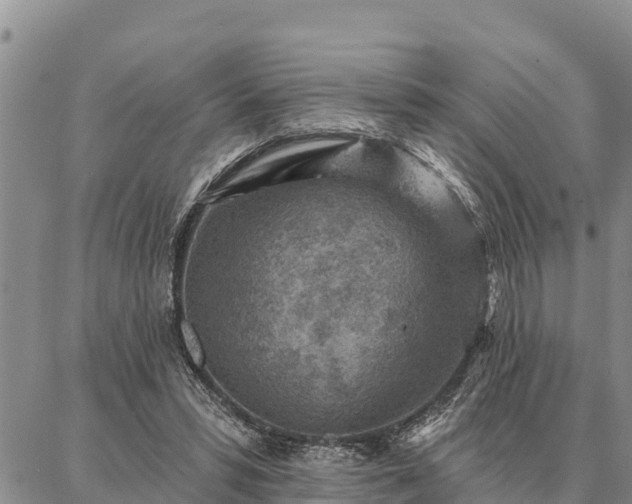 X0000086930399200704231335