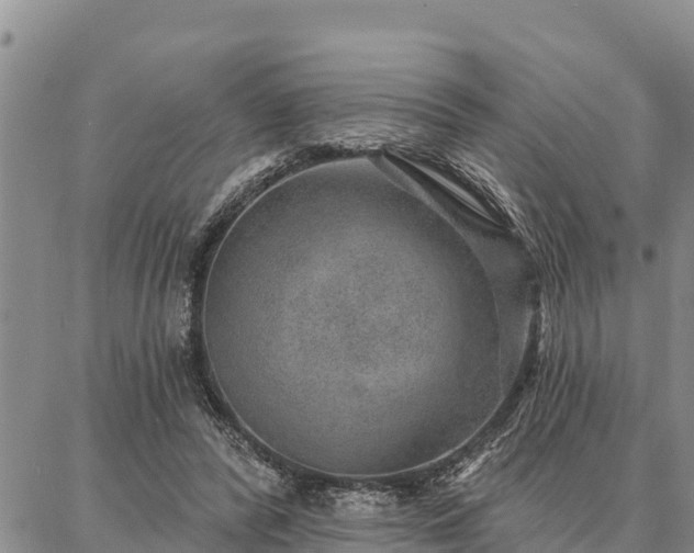 X0000086930400200704231335