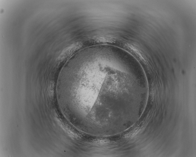 X0000086930402200704231335