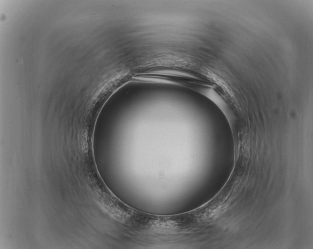 X0000086930403200704231335