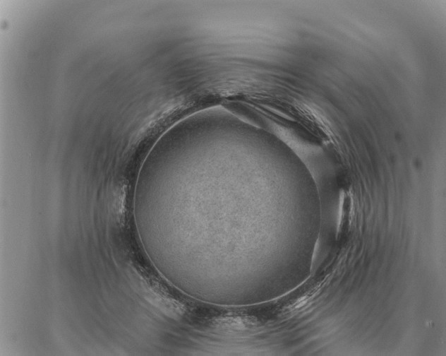 X0000086930404200704231335