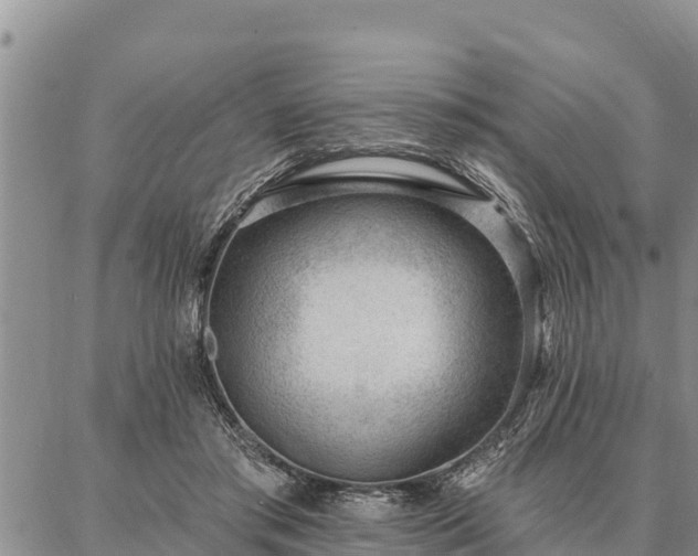 X0000086930405200704231335