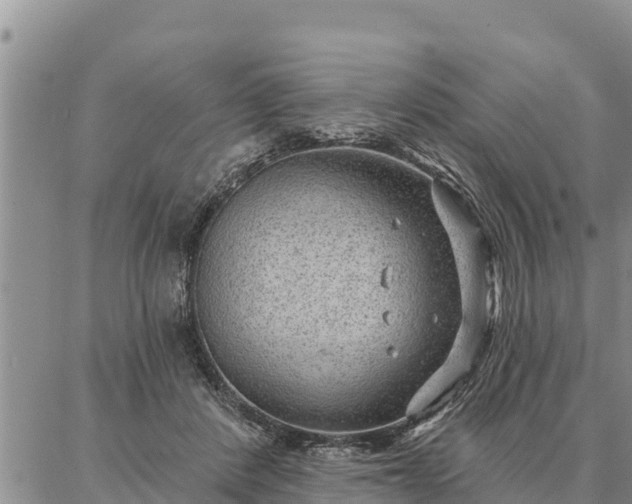 X0000086930408200704231335