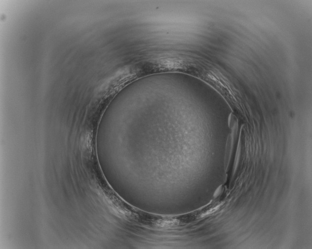 X0000086930410200704231335