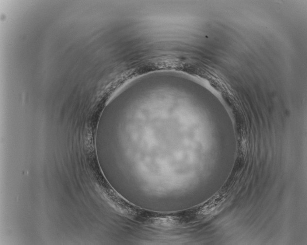 X0000086930411200704231335