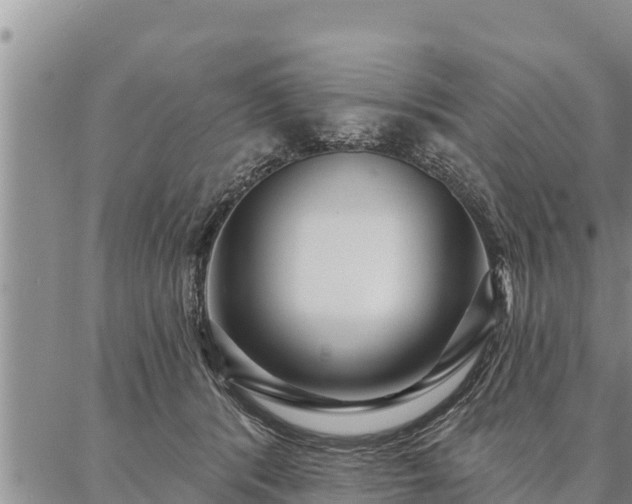 X0000086930416200704231335