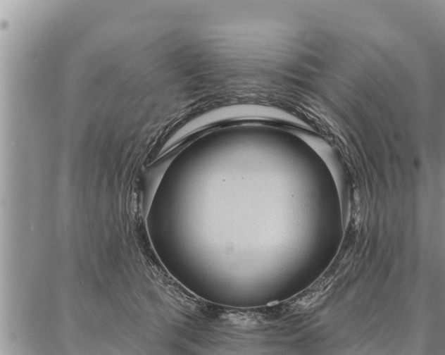 X0000086930417200704231335