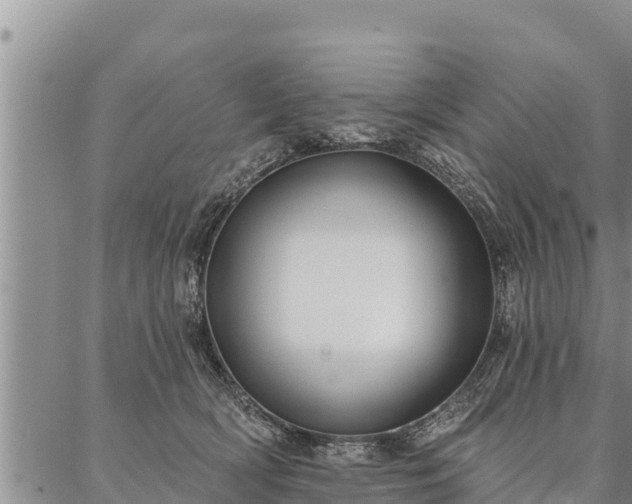 X0000086930418200704231335