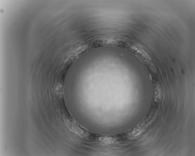 X0000086930419200704231335