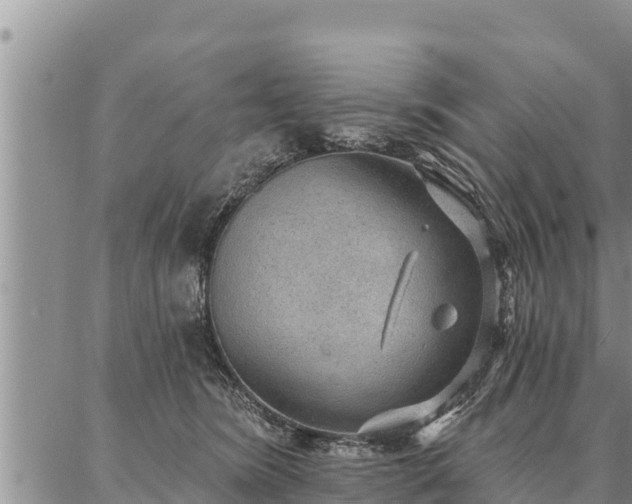 X0000086930420200704231335