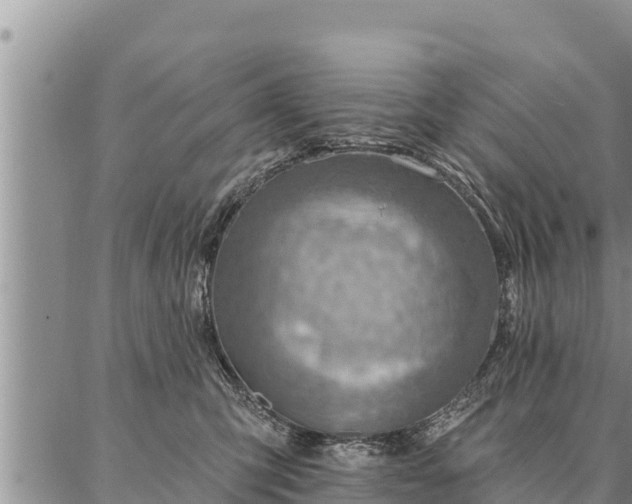 X0000086930423200704231335