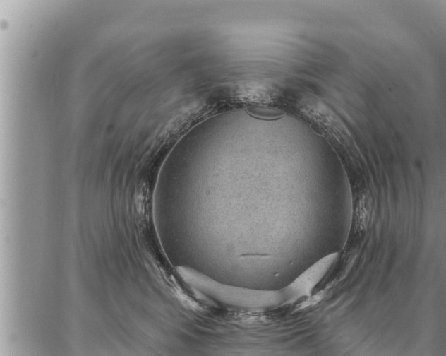 X0000086930424200704231335