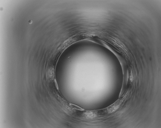 X0000086930425200704231335