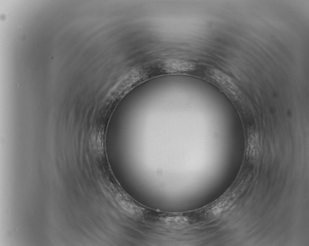 X0000086930426200704231335