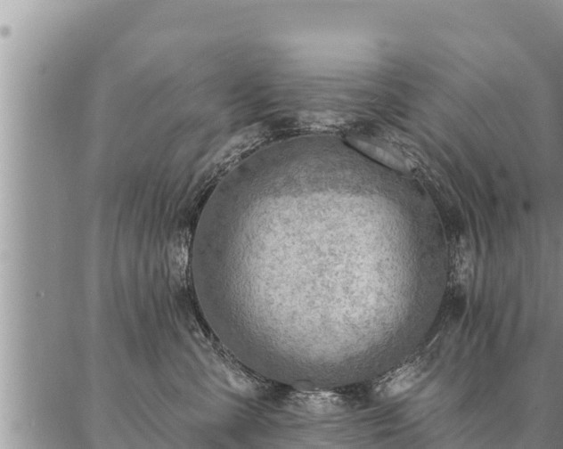 X0000086930427200704231335